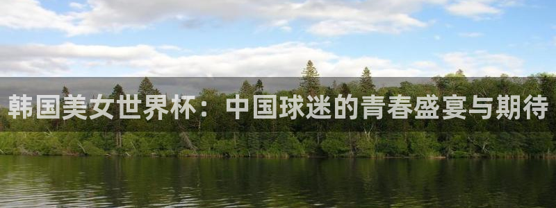 世界杯2026赛制:韩国美女世界杯:中国球迷的青春盛宴与期待