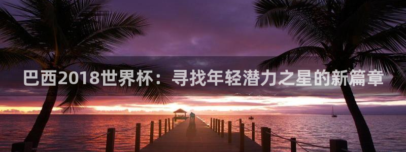 世界杯今年:巴西2018世界杯:寻找年轻潜力之星的新篇章