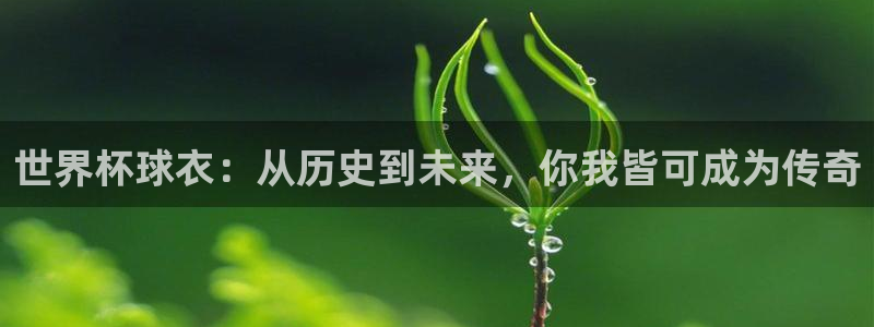 世界杯16强赛程表:世界杯球衣:从历史到未来,你我皆可成为传奇