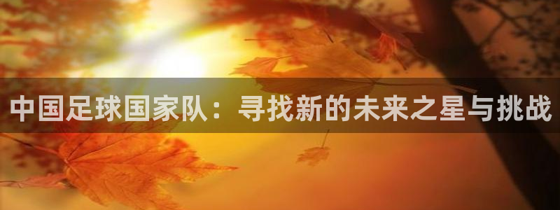 世界杯小组赛赛程:中国足球国家队:寻找新的未来之星与挑战