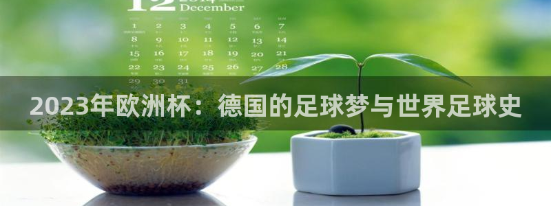 世界杯第一场比赛:2023年欧洲杯:德国的足球梦与世界足球史